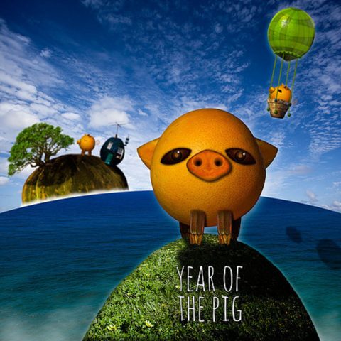 The Year of  The Pig