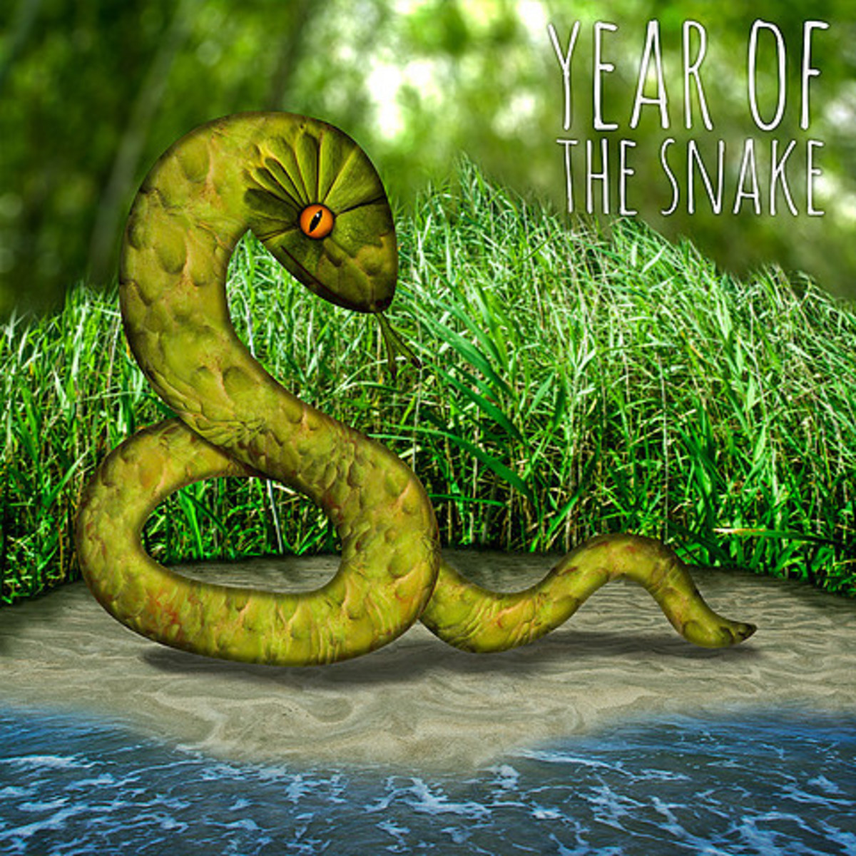 The Year of The Snake