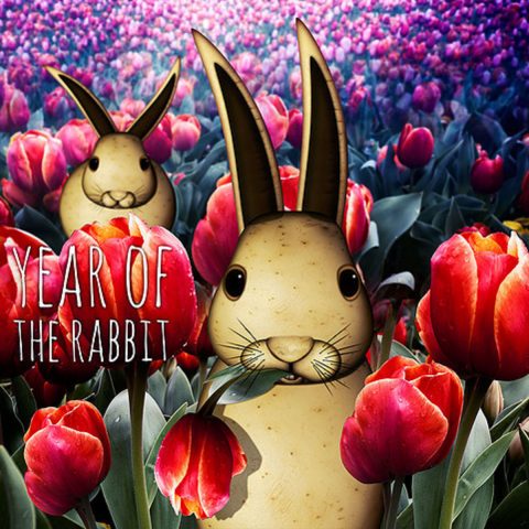 The Year of The Rabbit