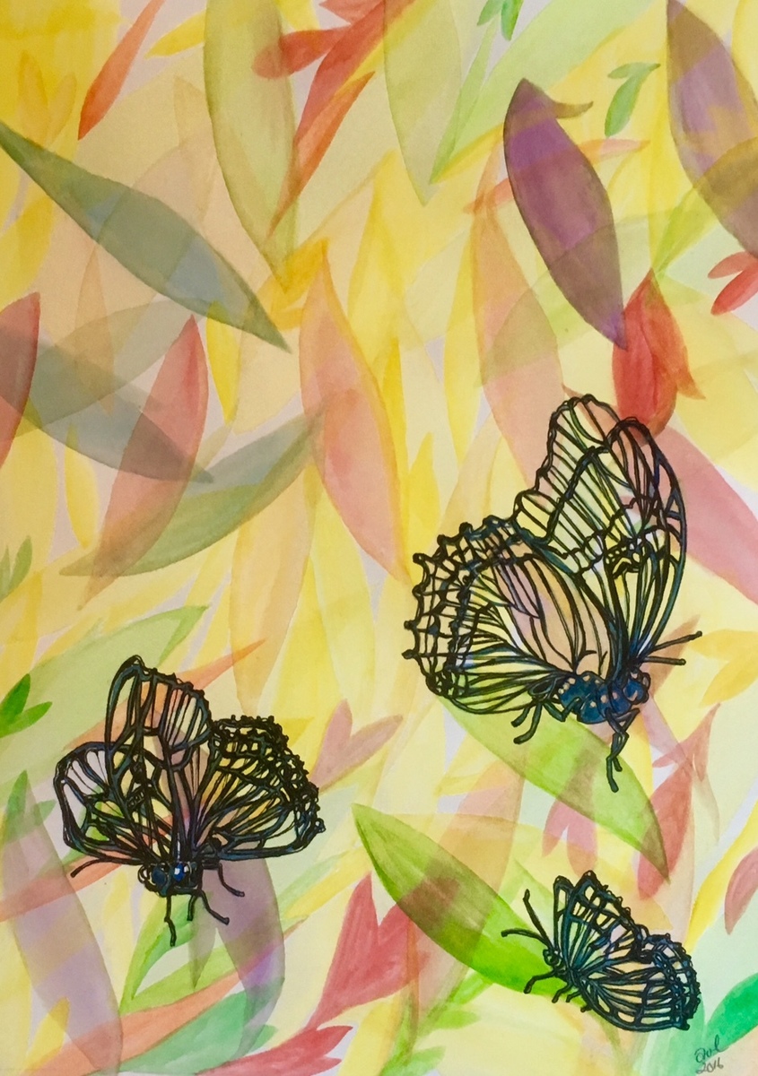 Translucent  Butterflies