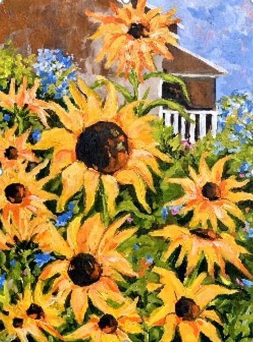 Sunflowers in my Garden